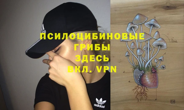ALPHA PVP Медногорск