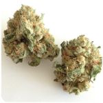 Шишки "White Widow"  (Белая вдова)  Гидропоника -  Бошка VHQ в Макарьеве